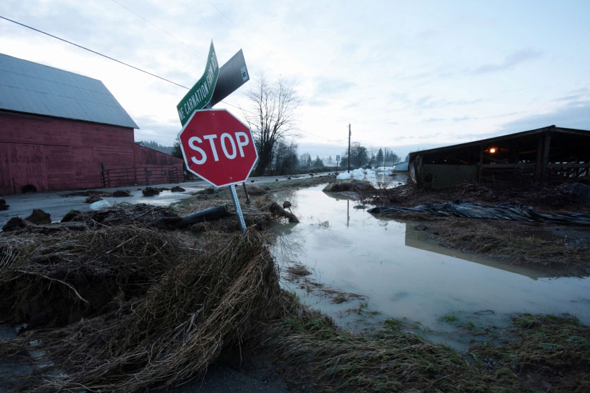 Disaster Prep - Stop Sign