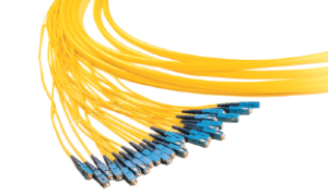 Belden Multi-Fiber Cable Assemblies